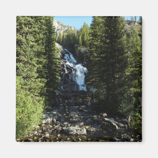 Hidden Falls in Grand Teton National Park Magnet