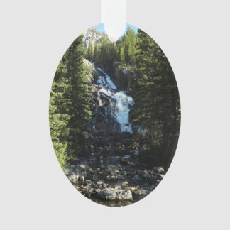 Hidden Falls in Grand Teton National Park Ornament