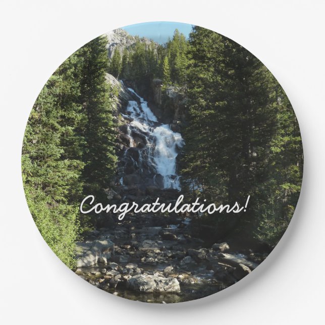 Hidden Falls in Grand Teton National Park Paper Plate (Front)