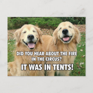 (Hidden) Funny Golden Retriever Circus Fire Joke Postcard