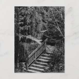 Hidden Garden Stairway Postcard