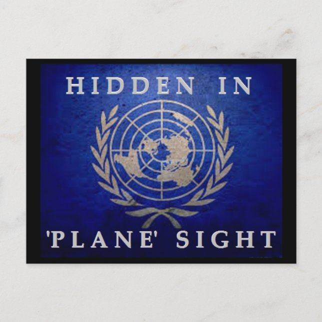 Hidden In 'Plane' Sight Postcard (Front)