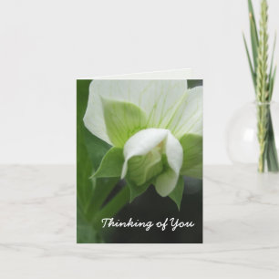 Hidden Peas Customisable Template Note Card