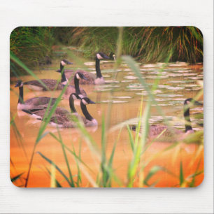 Hidden Serenity Canada Geese Nature Mouse Pad