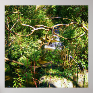 Hidden Waterfall Poster