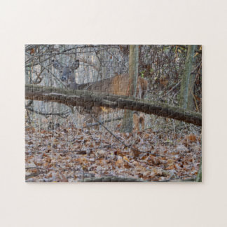 HIDE AND SEEK JIGSAW PUZZLE