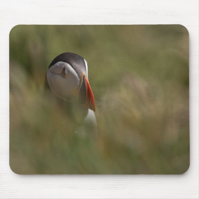 Hide and Seek Puffin Mouse Pad (Front)