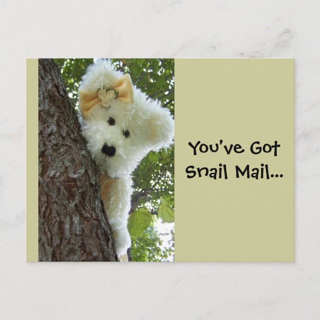 Hide & Seek Postcard (Front)