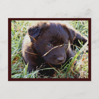 Hide & Seek Postcards
