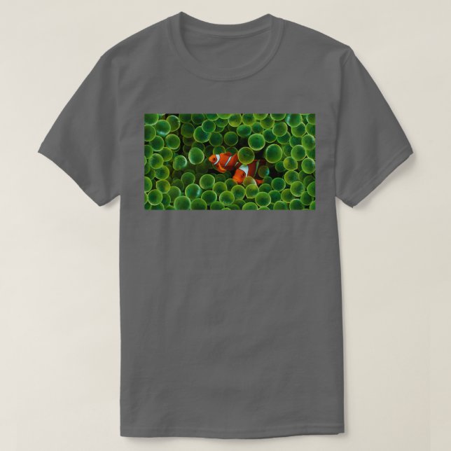 hiden two clown fish T-Shirt (Design Front)