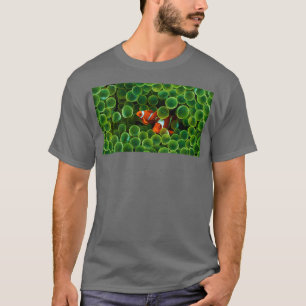 hiden two clown fish T-Shirt