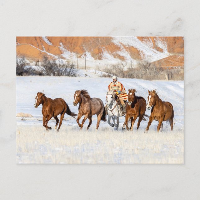 Hideout Horse Ranch, Wrangler and Horses Postcard (Front)