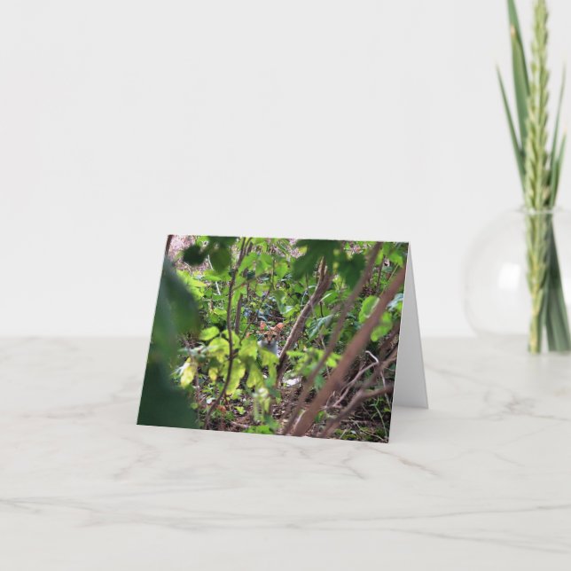 Hiding Card (Front)