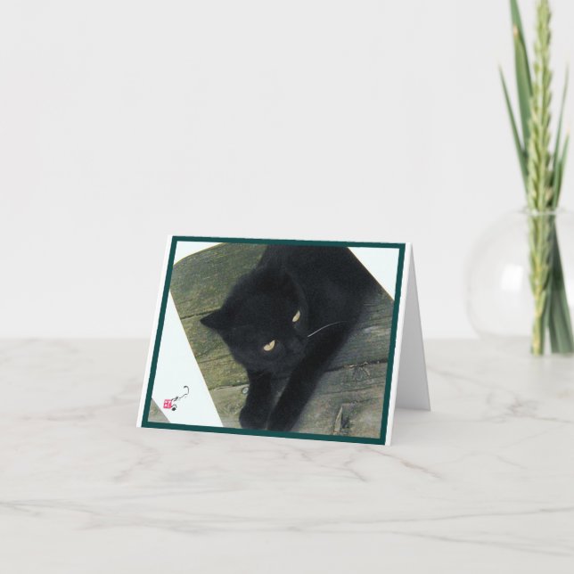 Hiding Card (Front)