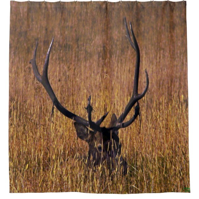 Hiding Elk Shower Curtian Shower Curtain (Front)