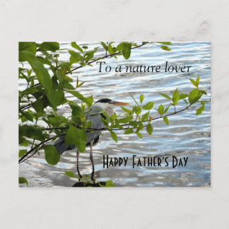 Hiding Heron! Postcard