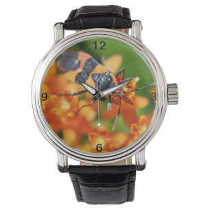 Hiding in plain sight watch