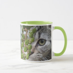 Hiding Kitten Mug