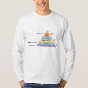 Hierarchy of Politics T-Shirt