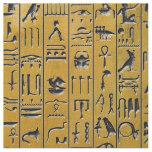 Hieroglyphics in Gold Fabric