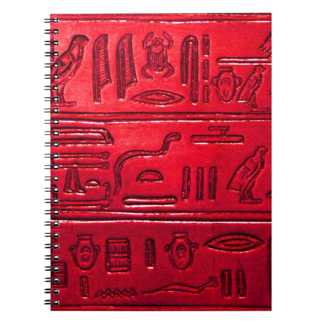 Hieroglyphs 2014-1053Q Spiral Notebook (Front)