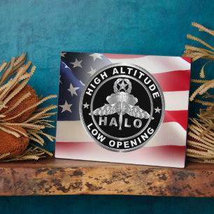 High Altitude Low Opening (HALO) Wings Plaque
