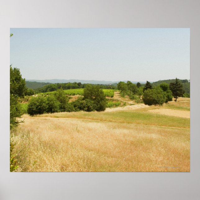 High angle view of a field, Siena Province, 2 Poster (Front)