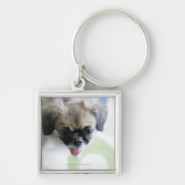 High angle view of an Eskimo Dog Key Ring (Front)