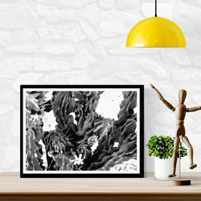 High Contrast Cactus || Black and White Photo Print (Creator Uploaded)