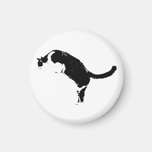 High Contrast Magnet