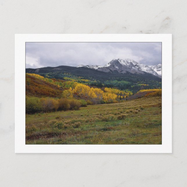 "High Country Autumn" Postcard (Front)