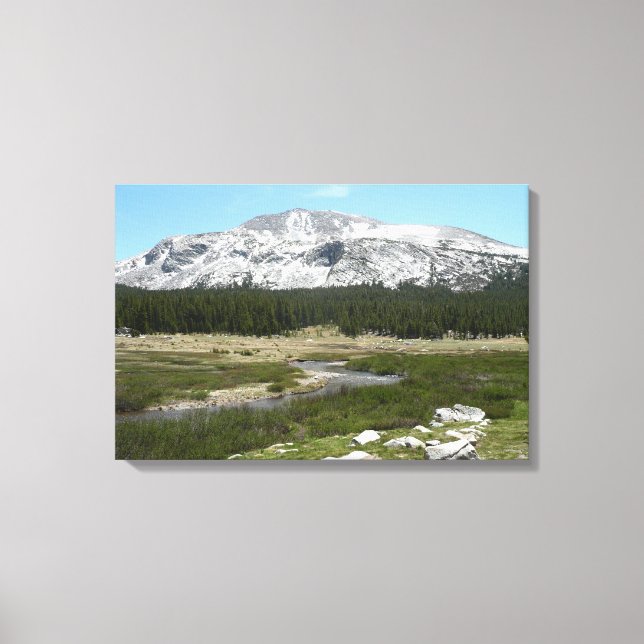 High Country Mountain Stream I Canvas Print (Front)