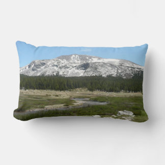 High Country Mountain Stream I Lumbar Cushion