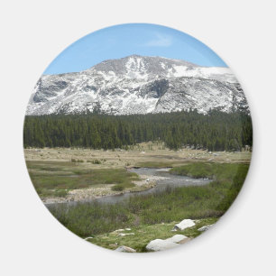 High Country Mountain Stream I Magnet