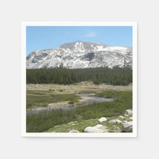 High Country Mountain Stream I Napkin