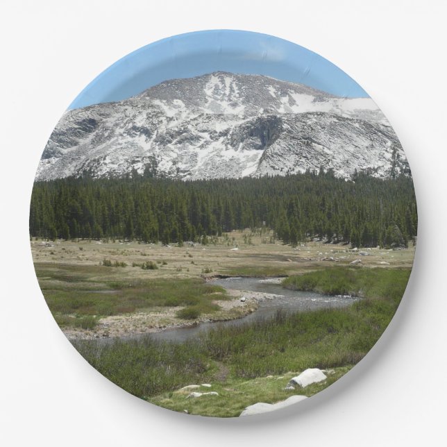 High Country Mountain Stream I Paper Plate (Front)