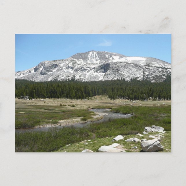 High Country Mountain Stream I Postcard (Front)