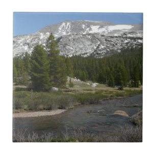 High Country Mountain Stream II at Yosemite Tile