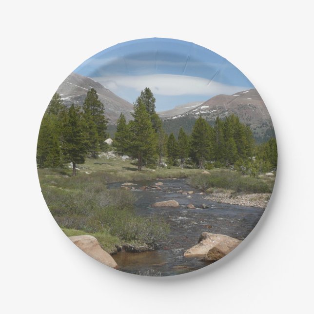 High Country Mountain Stream III at Yosemite Paper Plate (Front)