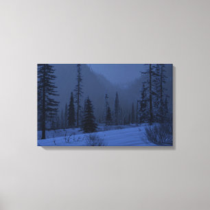 High Country (Winter/Night) Canvas Print