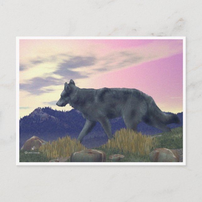 High Country Wolf Postcard (Front)