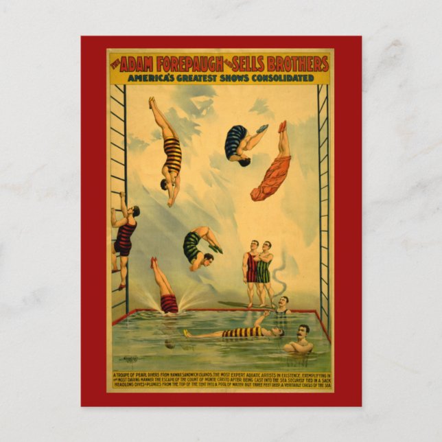 High Dive / Diving Circus Poster Postcard (Front)