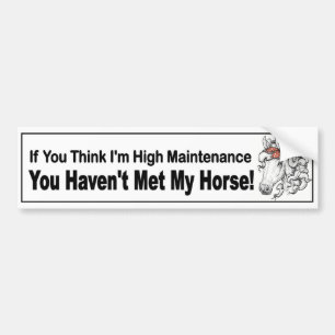 high maintenance horse with filly in bow funny bumper sticker
