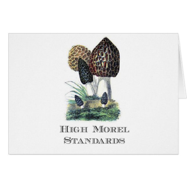 High Morel Standards (Front Horizontal)