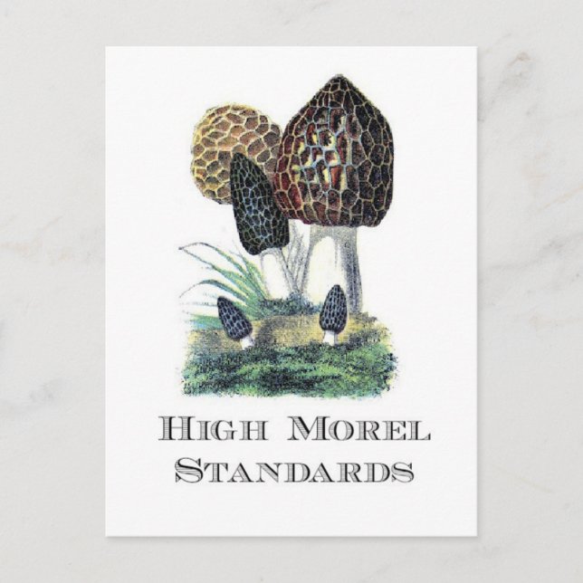 High Morel Standards Postcard (Front)