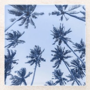 High palm trees, clear blue sky. glass coaster