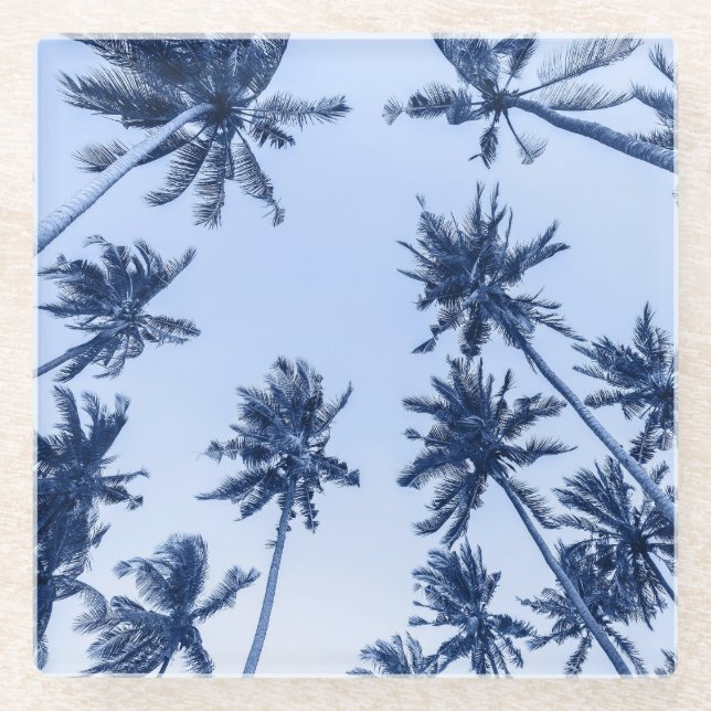 High palm trees, clear blue sky. glass coaster (Front)