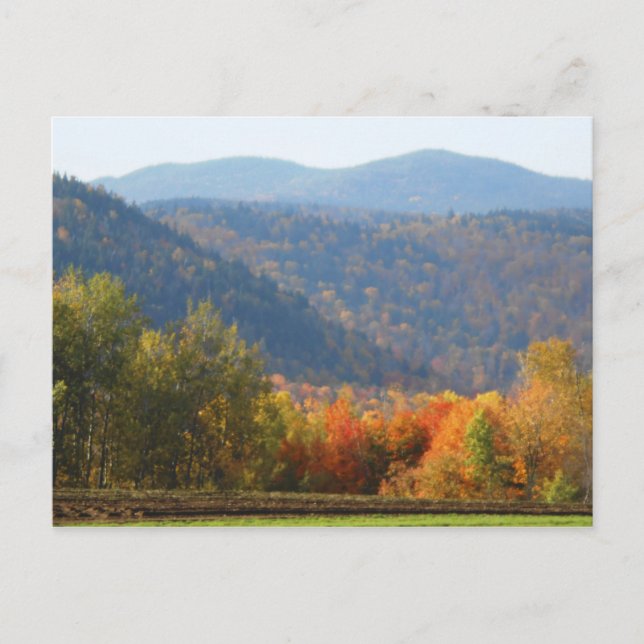 High Peaks Adirondacks Autumn Mountains Forest Postcard (Front)