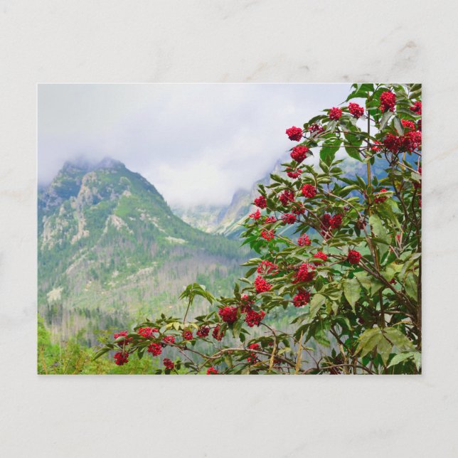 High Tatras Slovakia Postcard (Front)