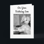 ****HIGH TECH**** BIRTHDAY WISHES SON FROM WESTIE CARD<br><div class="desc">****HIGH TECH**** BIRTHDAY WISHES FROM THIS WESTIE FOR YOUR "TECHIE" ***SON***!!!!</div>